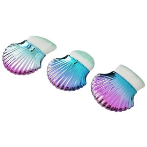 Scallop Shell Contour Brush